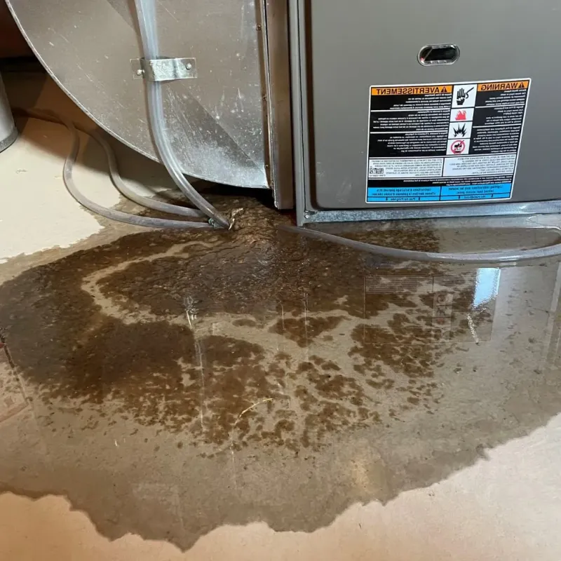 Pipe Burst and Leak Restoration in Hardin County, KY